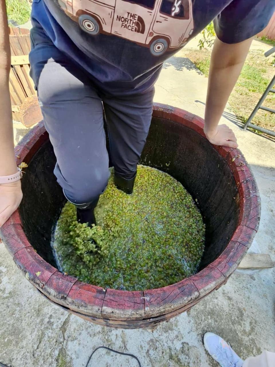 Guesthause Bagdati מראה חיצוני תמונה